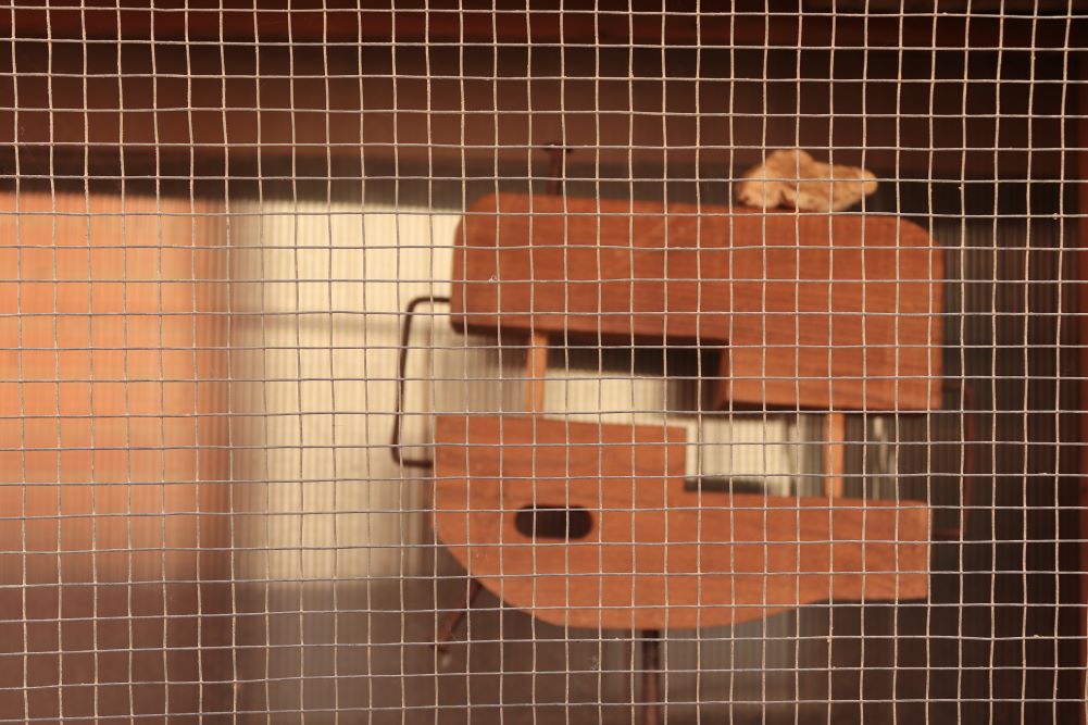 Escultura en la verja de una ventana