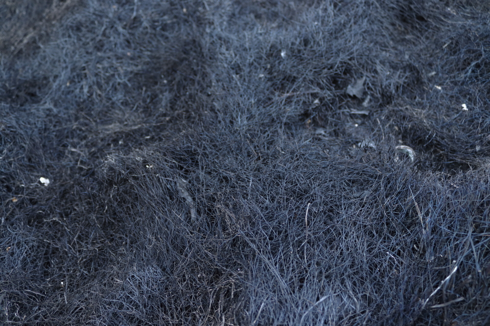 Prado quemado en el incendio de la Sierra de la Culebra de 2025 originado en Puercas